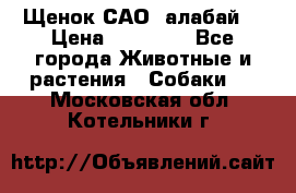 Щенок САО (алабай) › Цена ­ 10 000 - Все города Животные и растения » Собаки   . Московская обл.,Котельники г.